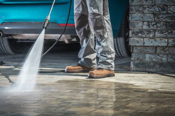 Best Dumpster Area Cleaning  in La Porte, IN